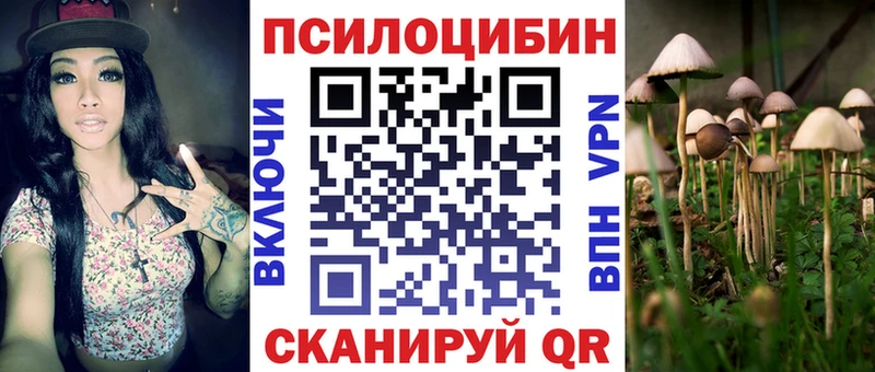 Псилоцибиновые грибы мухоморы  Купить где  Сыктывкар 